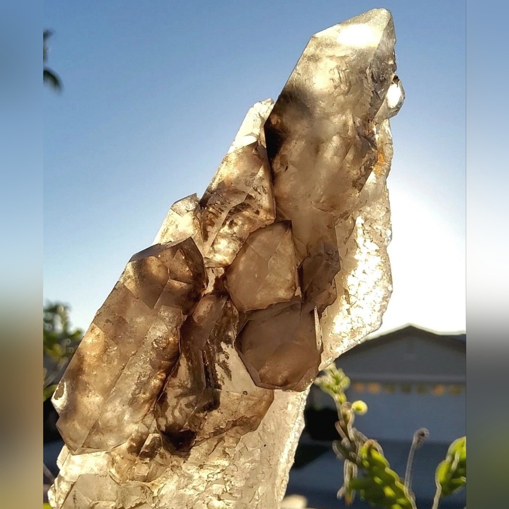 RARE & Powerful Smoky Quartz Elestial Skeletal Scepter